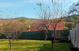 Casa cu 5 camere,300 mp utili,2000 mp teren, in Cerghid