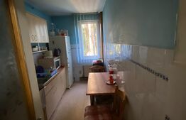 Apartament 3 camere + garaj, 63 mp, 7 Noiembrie