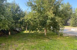 Casa 7 camere, 390 mp utili, Valea Iubirii