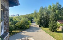 Casa 7 camere, 390 mp utili, Valea Iubirii