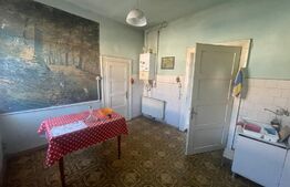 Casa cu 2 camere, 113mp, zona Centrala 