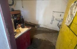 Casa cu 2 camere, 113mp, zona Centrala 