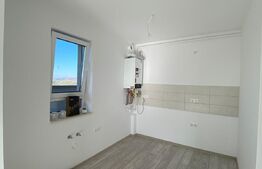 Apartament tip penthouse, 2 camere, 47MP, Maurer Residence
