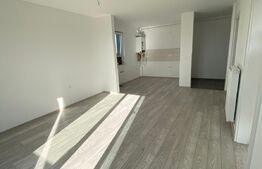 Apartament tip penthouse, 2 camere, 47MP, Maurer Residence