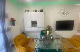 Apartament cu o camera, 40mp, parter, Maurer