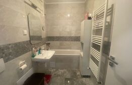 Apartament cu o camera, 40mp, parter, Maurer