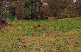 Teren intravilan 994 mp, Budiu sat