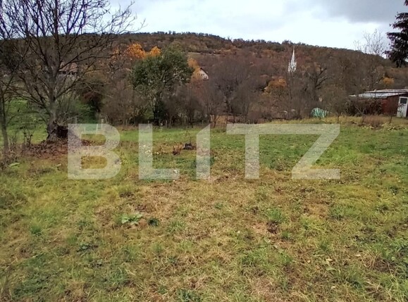 Teren de vânzare Budiu Mic - 129317TV | BLITZ Târgu Mureș | Poza2