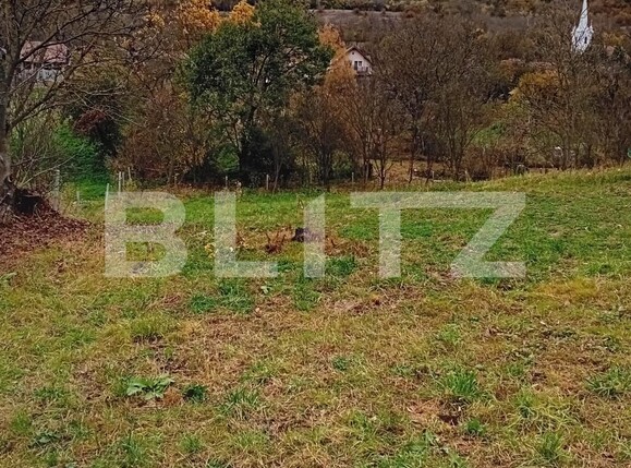 Teren de vânzare Budiu Mic - 129317TV | BLITZ Târgu Mureș | Poza1