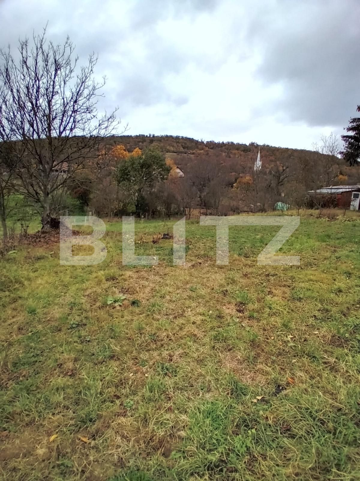 Teren de vânzare Budiu Mic - 129317TV | BLITZ Târgu Mureș | Poza2