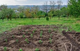 Casa de vacanta cu teren si vie, 70mp, zona Budiului