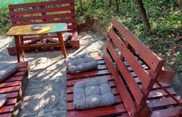 Casa de vacanta cu teren si vie, 70mp, zona Budiului