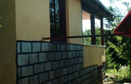 Casa de vacanta cu teren si vie, 70mp, zona Budiului