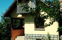 Casa de vacanta cu teren si vie, 70mp, zona Budiului