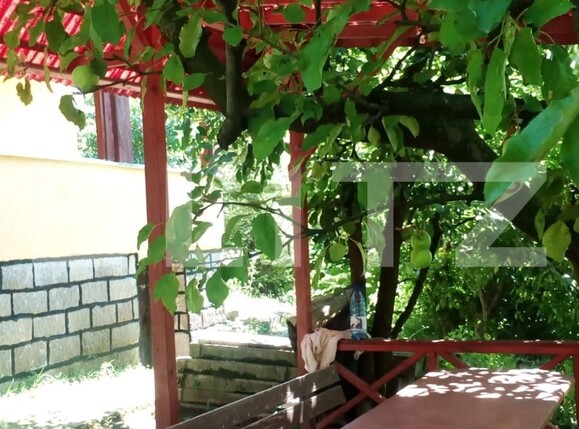 Casa de vânzare 2 camere Budiului - 129612CV | BLITZ Târgu Mureș | Poza3