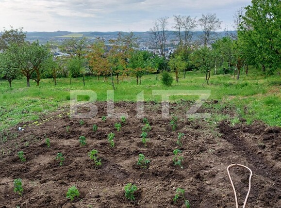 Casa de vânzare 2 camere Budiului - 129612CV | BLITZ Târgu Mureș | Poza2