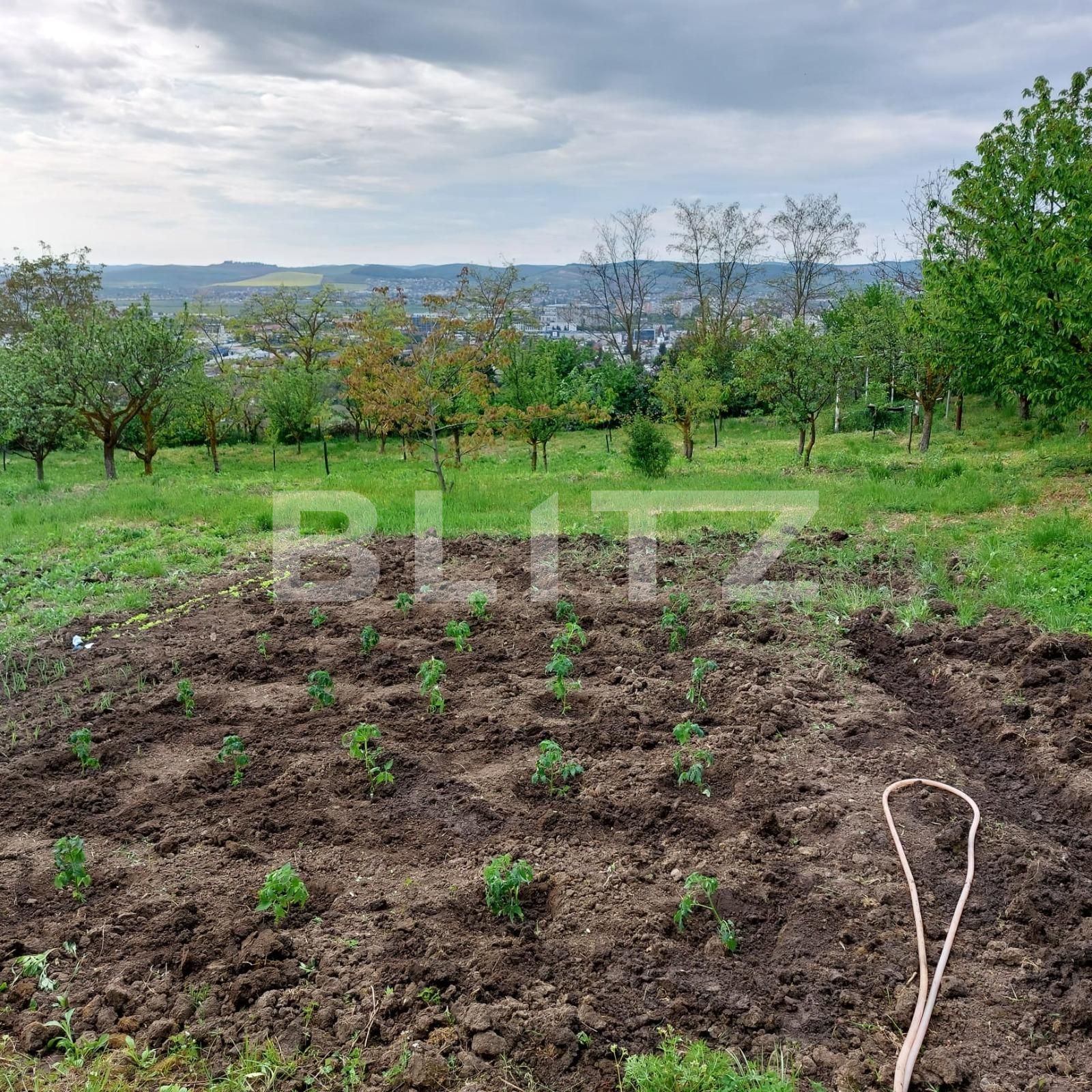 Casa de vânzare 2 camere Budiului - 129612CV | BLITZ Târgu Mureș | Poza2