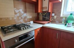 Apartament cu o camera+dependinte in curte comuna