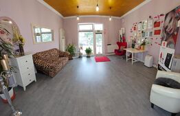 Casa 5 camere, 173mp, zona Centrala