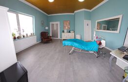 Casa 5 camere, 173mp, zona Centrala