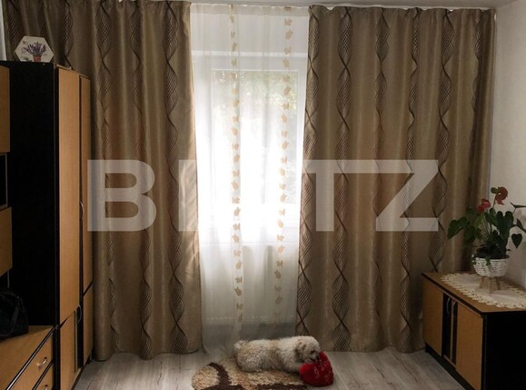 Apartament de vânzare 3 camere Dambu Pietros - 129732AV | BLITZ Târgu Mureș | Poza10