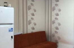 Garsoniera, 28MP, Mureseni