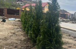 Casa duplex, 170 mp utili, 4 camere+ 2 la mansarda, Livezeni 