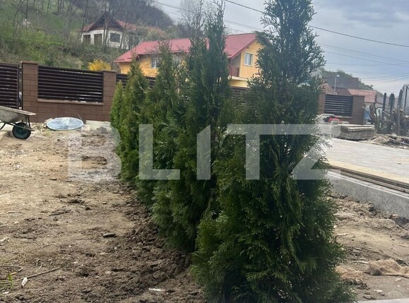 Casa de vânzare 4 camere Livezeni - 130165CV | BLITZ Târgu Mureș | Poza9