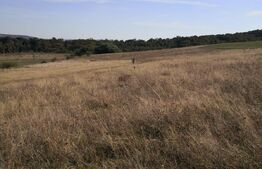 Teren intravilan, 600 mp, Bardesti