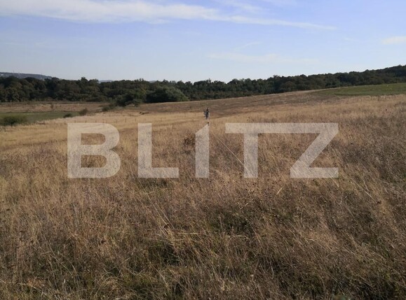 Teren de vânzare Exterior Nord - 130260TV | BLITZ Târgu Mureș | Poza3