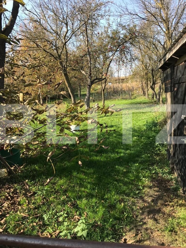 Casa de vânzare 3 camere Nord - 130840CV | BLITZ Târgu Mureș | Poza5