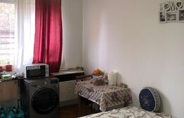 Garsoniera, 25mp, Mureseni