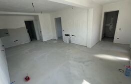 Casa cu 2 camere, 82 mp, Bardesti