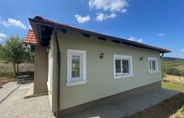 Casa cu 2 camere, 82 mp, Bardesti