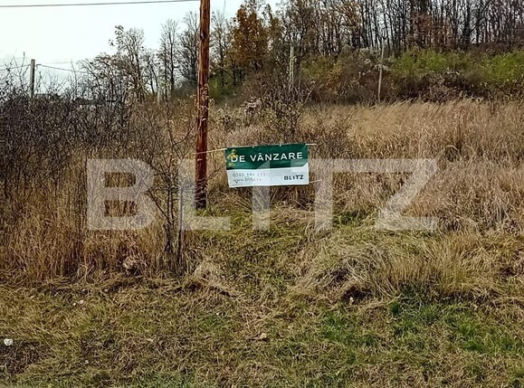 Teren de vânzare Exterior Est - 131286TV | BLITZ Târgu Mureș | Poza1