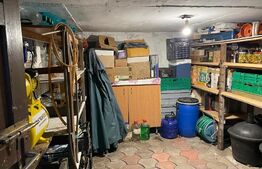 Casa cu 3 camere, 160 mp, Santana de Mures