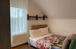 Casa cu 3 camere, 160 mp, Santana de Mures