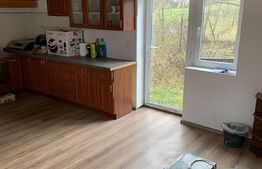 Casa cu 2 camere, 140 mp, Tarnaveni