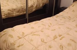 Apartament 2 camere, 42mp, Dambu Pietros