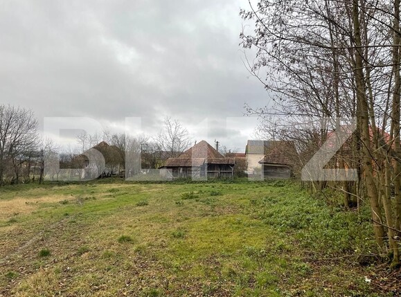 Casa de vânzare 3 camere Exterior Vest - 131567CV | BLITZ Târgu Mureș | Poza1