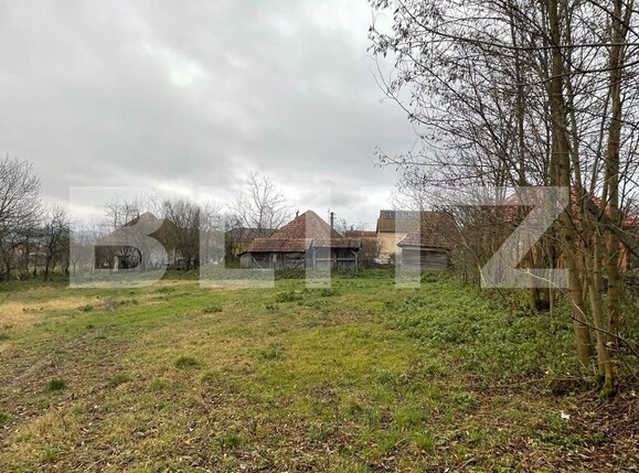 Casa de vânzare 3 camere Exterior Vest - 131567CV | BLITZ Târgu Mureș | Poza3