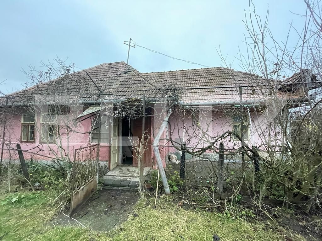 Casa de vânzare 3 camere Exterior Vest - 131567CV | BLITZ Târgu Mureș | Poza13