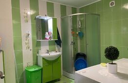 Casa cu 3 camere, 219 mp, Dumbravioara