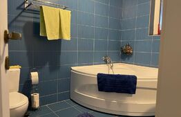 Casa cu 3 camere, 219 mp, Dumbravioara