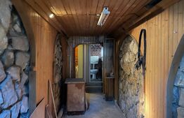 Casa cu 3 camere, 170mp, Centru