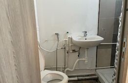 Casa cu 10 camere, 300mp, Centru