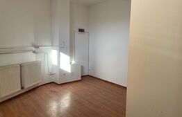 Casa cu 10 camere, 300mp, Centru