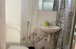 Casa cu 10 camere, 300mp, Centru