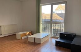 Casa cu 10 camere, 300mp, Centru