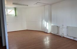 Casa cu 10 camere, 300mp, Centru